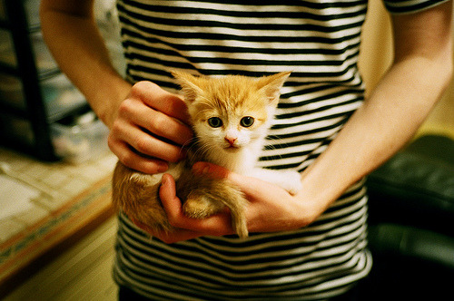 当尼克斯绞杀骑士时，哈利伯顿正在欧冠决赛接管，竞技体育唯一的真理