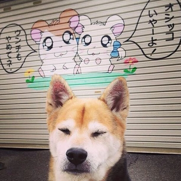 末节封神，孙兴慜的2026世界杯之夜