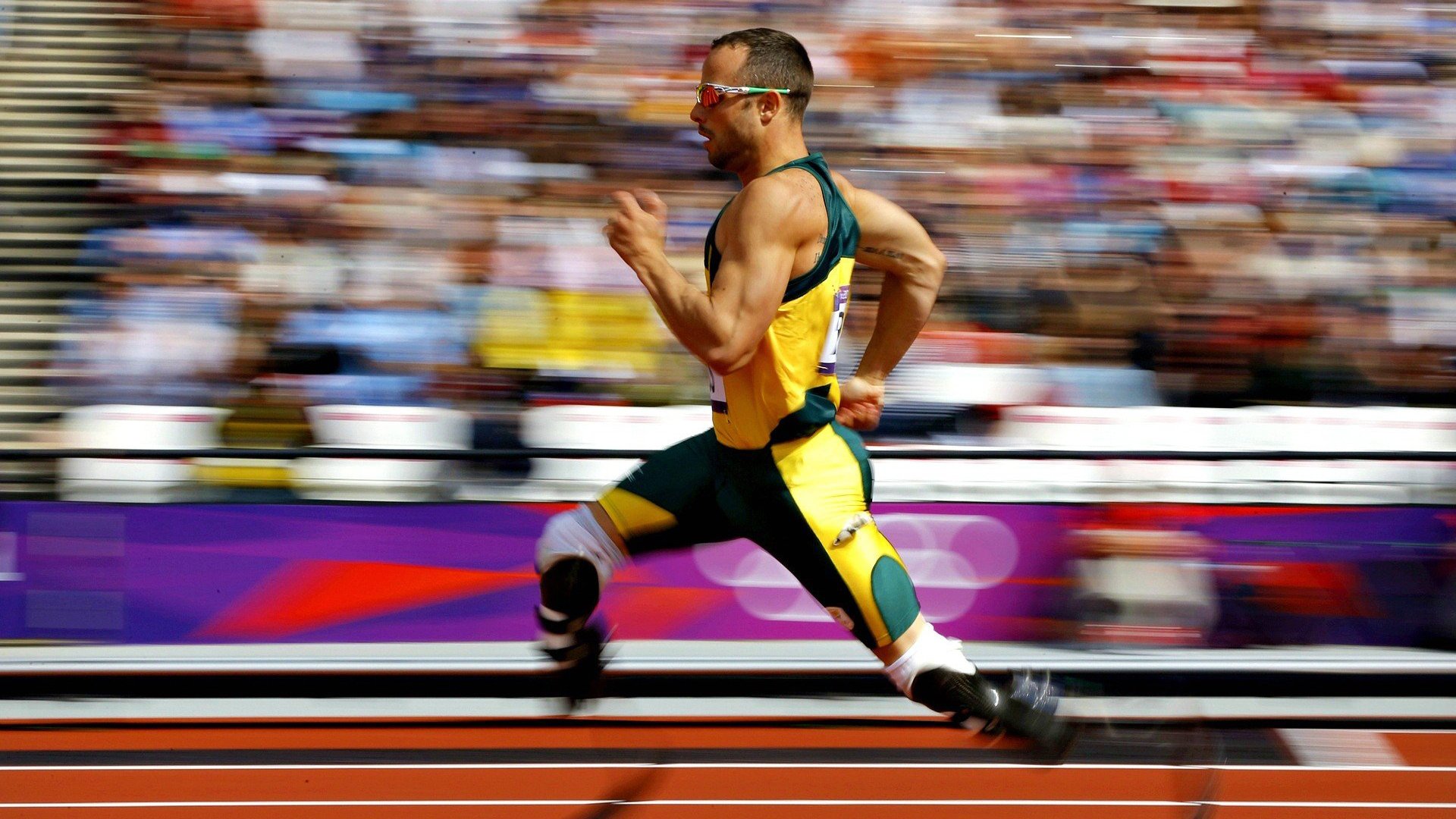 年度焦点之战之夜，当福克斯成为唯一的星辰