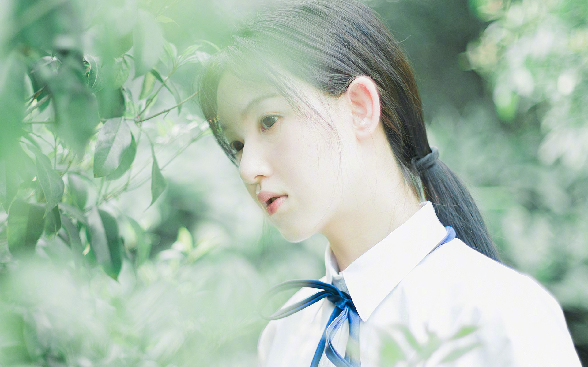 不稳定的力量中，那道最稳定的弧线，锡安-威廉姆森如何成为比赛的新常数？