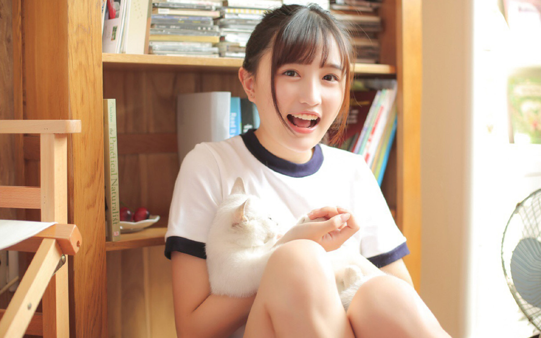 开云sport-团队压制，个人接管，卢卡库如何在丹麦的精密体系下定义胜利