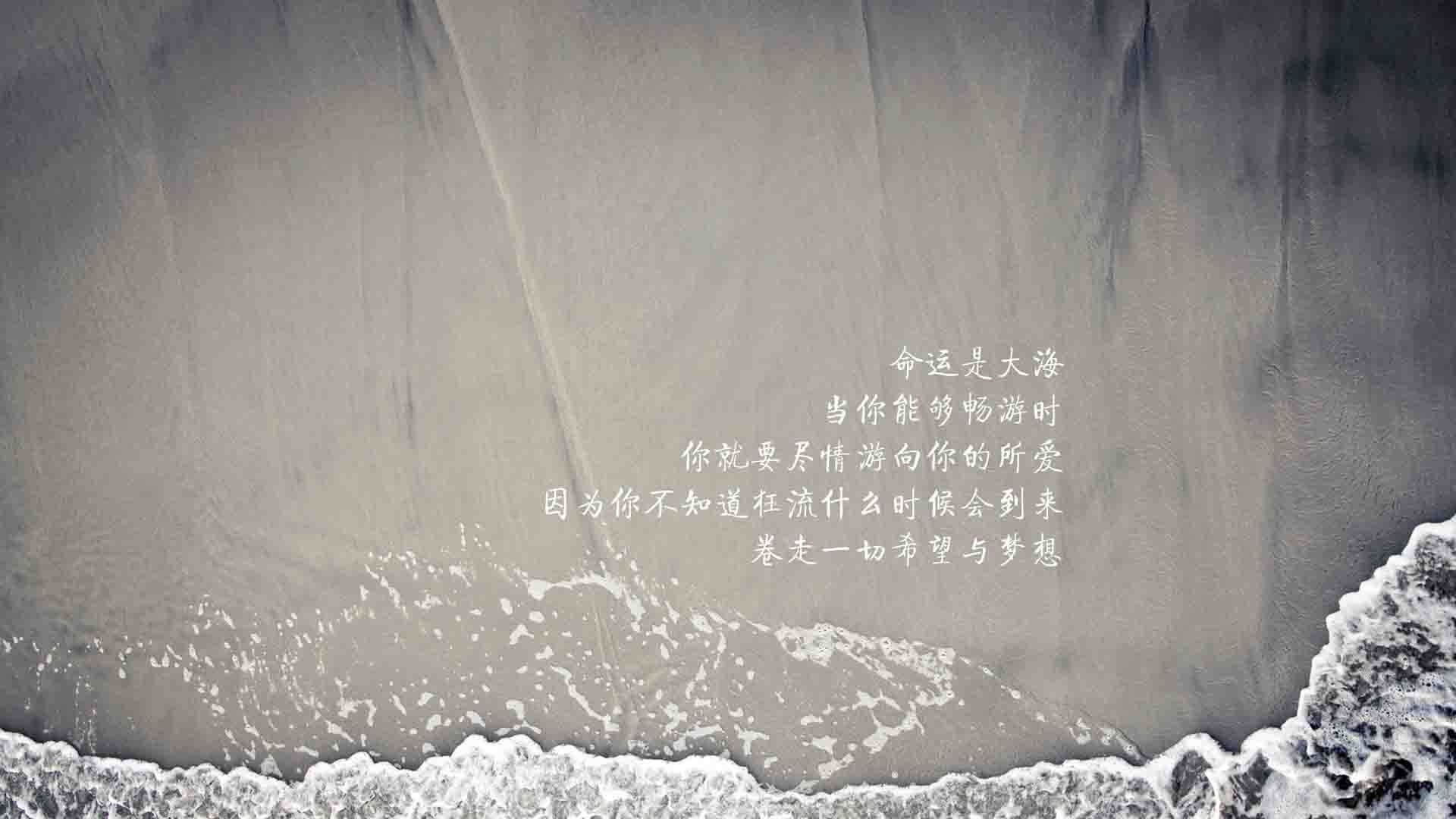 野蛮交响与指尖乐章,当里昂血洗奥地利,蒂亚戈奏响生涯之夜